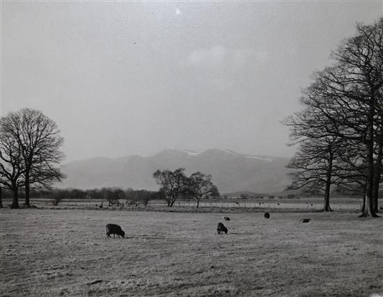 C. Parry - prized photographs (1950s)(-)